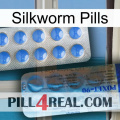 Silkworm Pills 40